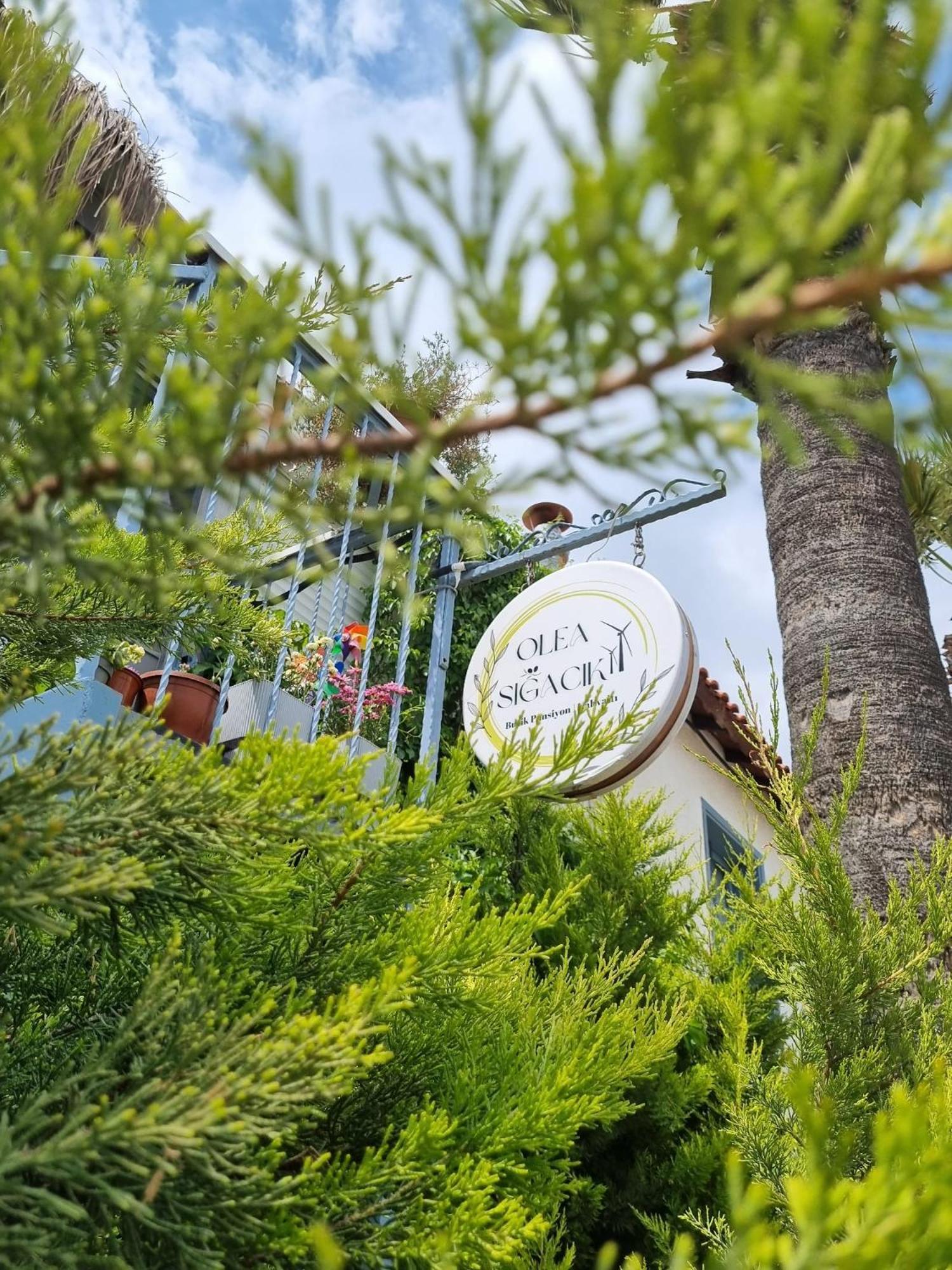 Olea Sigacik Pansiyon & Bistro เซเฟริฮิซาร์ ภายนอก รูปภาพ